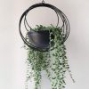 RISEON Boho Gold Metal Plant Hanger,Metal Geometric Hanging Planter, Modern Planter, Mid Century Air Plant Holder Stand, Minimalist Planter for Indoor Outdoor Home Wedding Decor (Black)