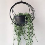 RISEON Boho Gold Metal Plant Hanger,Metal Geometric Hanging Planter, Modern Planter, Mid Century Air Plant Holder Stand, Minimalist Planter for Indoor Outdoor Home Wedding Decor (Black)