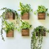 LaLaGreen Wood Planter Boxes for Indoor Plants (4×4 Inch, 6 Pack) Small Square Wall Mounted Planters Flower Pot, Herb Wooden Box Hanging Plant Holder Outdoor Balcony Vertical Garden Modern Home Decor