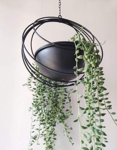 RISEON Boho Gold Metal Plant Hanger,Metal Geometric Hanging Planter, Modern Planter, Mid Century Air Plant Holder Stand, Minimalist Planter for Indoor Outdoor Home Wedding Decor (Black) - Image 8